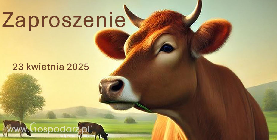 Konferencja QMP