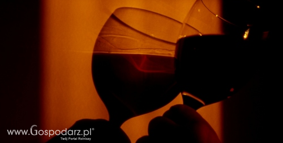 Polacy coraz chętniej konsumują wina, średnio rocznie 7 litrów