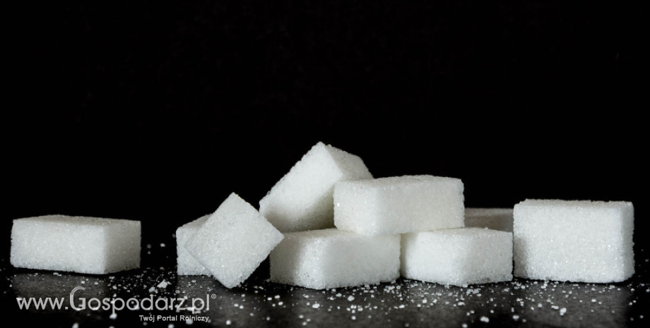 Rekordowy poziom eksportu cukru