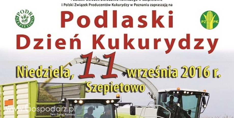 Podlaski Dzień Kukurydzy w Szepietowie