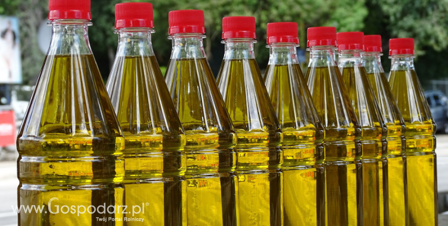 Produkcja oleju rzepakowego w Polsce