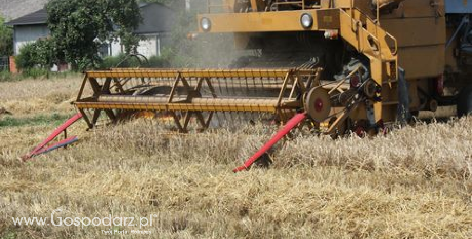 Matif: Dalsze przeceny zbóż i wzrosty cen rzepaku (16.09.2014)