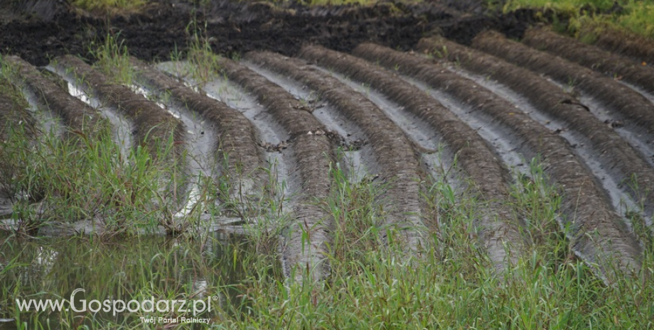 ARiMR na temat wydłużenia terminów zabiegów agrotechnicznych