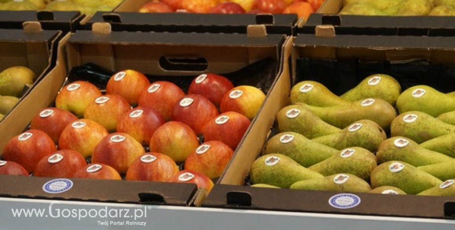 Ceny jabłek i gruszek w Polsce (2.02.2016)