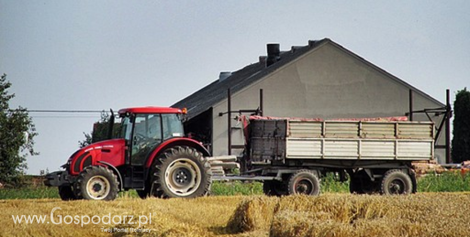 Rynek zbóż w Polsce i na świecie (22-28.09.2014)