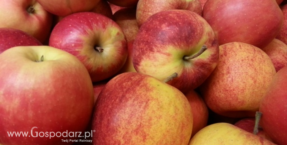 Więcej jabłek na unijnym rynku