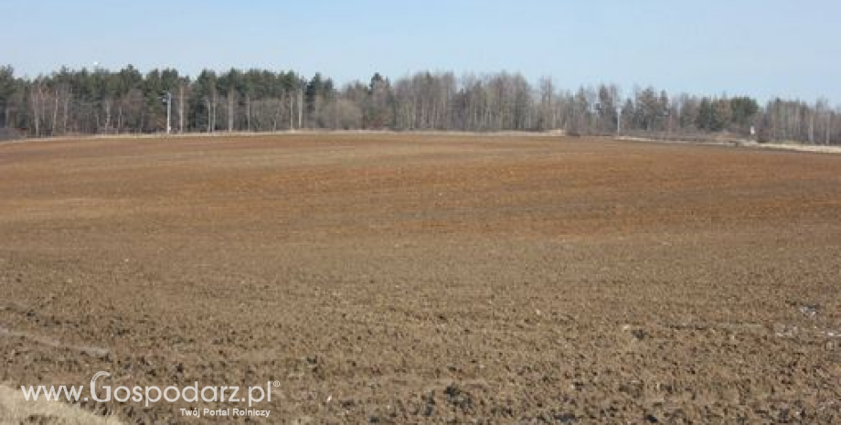 Dopłaty bezpośrednie do gruntów dzierżawionych z ANR