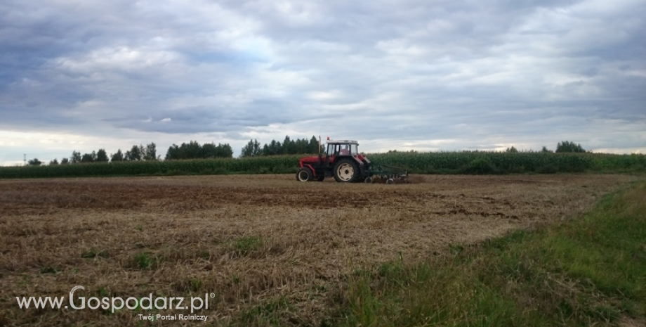 Aktualne plany działalności ekologicznej lub rolnośrodowiskowej do końca września