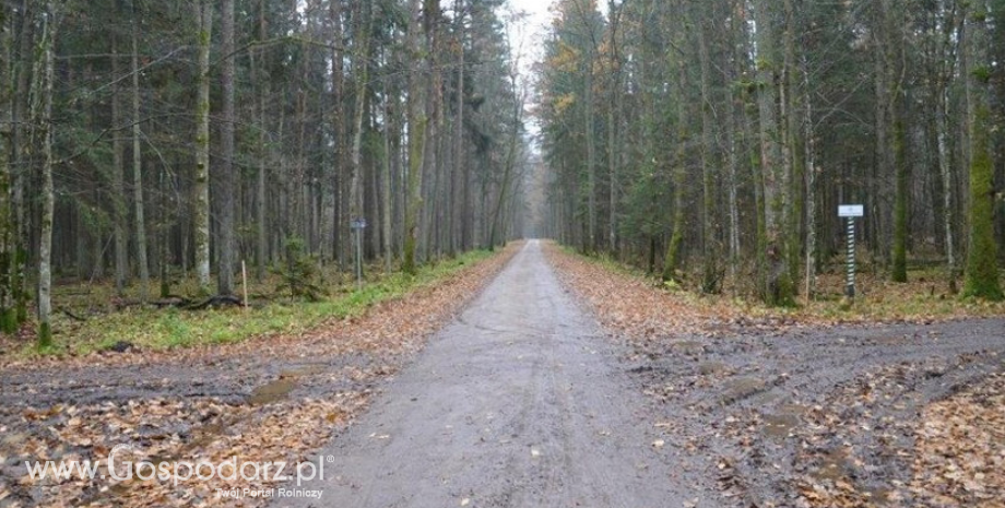 Narewkowska będzie bezpieczna dla przyrody i użytkowników