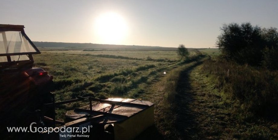 Czynniki warunkujące plony uzyskiwane z trwałych użytków zielonych