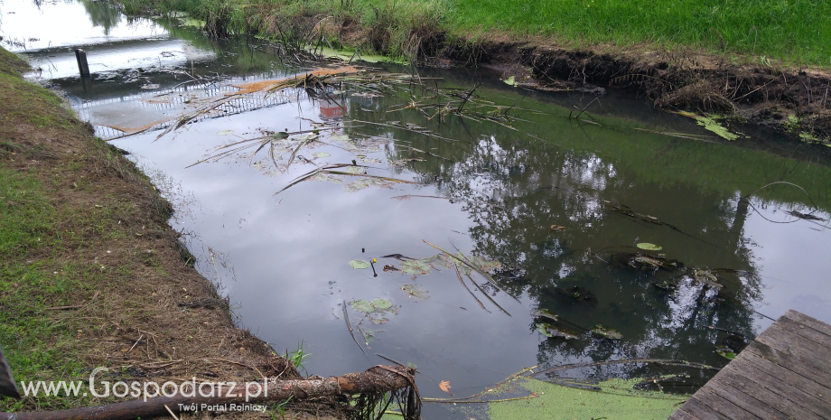 Spada poziom wód w rzekach i wilgotność gleby, rośnie zagrożenie suszą