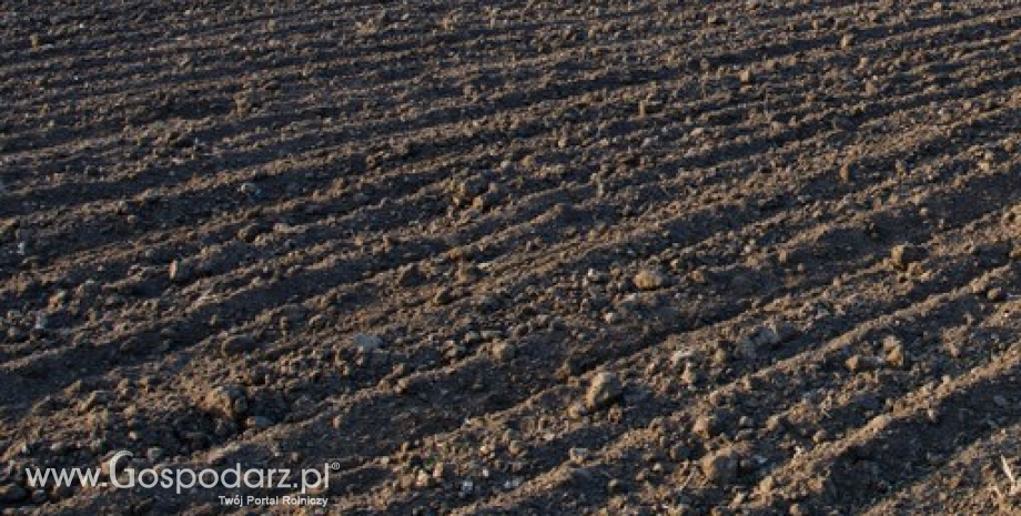 Nowy wymiar fosforu, czyli jak przeciwdziałać uwstecznianiu się fosforu w glebie