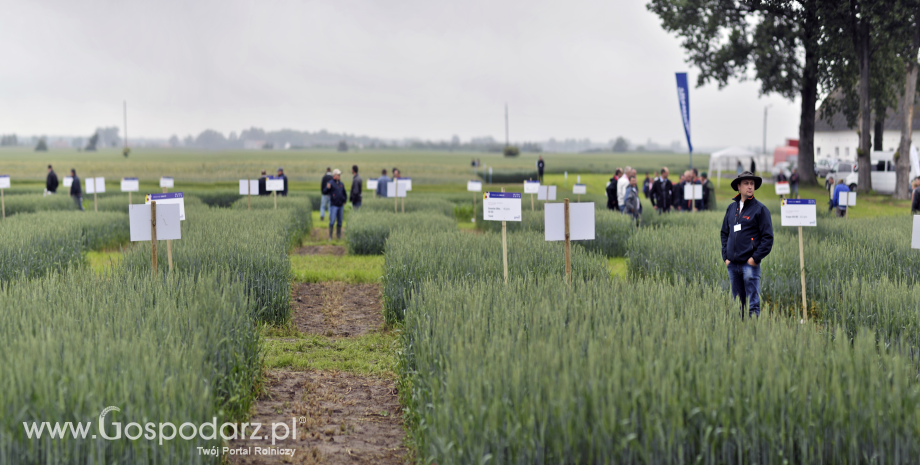 Targi Agrobudziejewo nauka, doświadczenie, praktyka