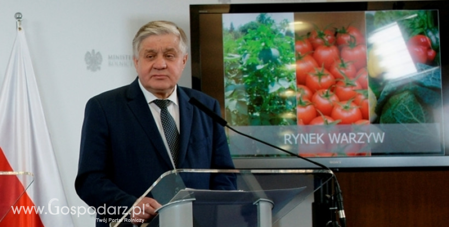 Działania na rynku warzyw