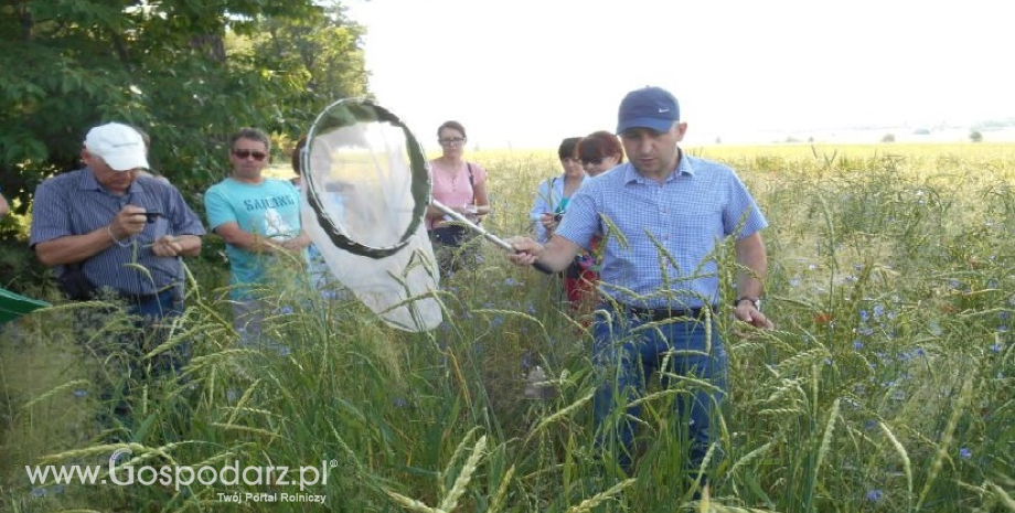 Integrowana ochrona roślin rolniczych i monitorowanie agrofagów