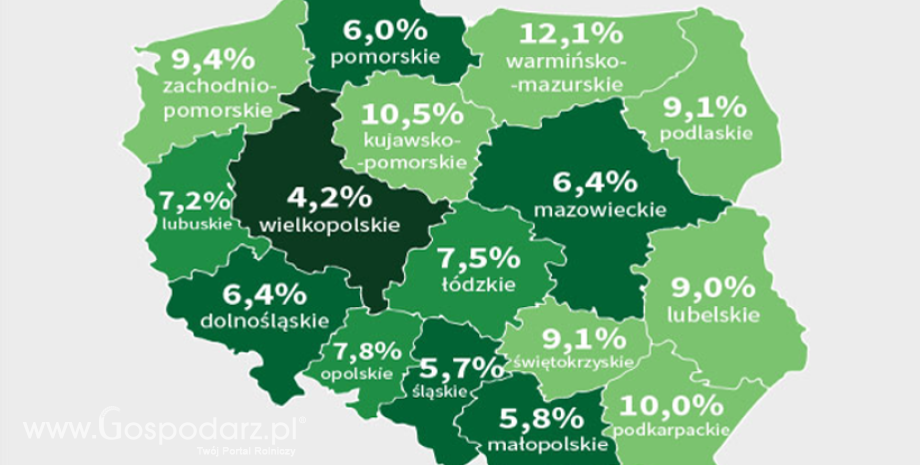 Bezrobocie jeszcze niżej