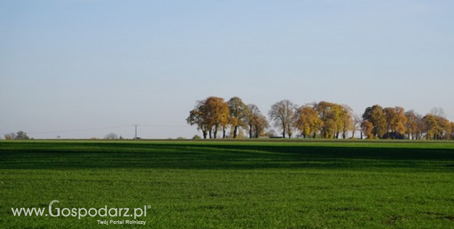 ANR podsumowała 2015 r. Sprzedano 77 tys. ha, a wydzierżawiono 35 tys. ha gruntów