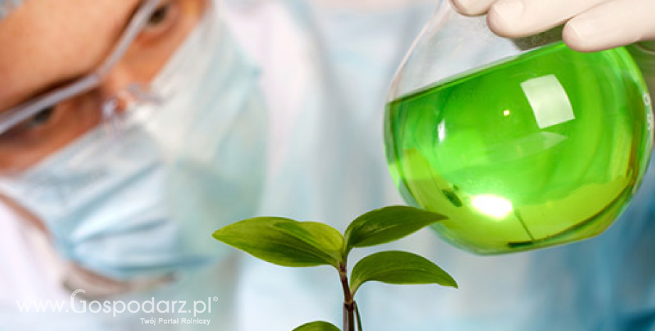 Powierzchnia upraw GMO w 2014 roku