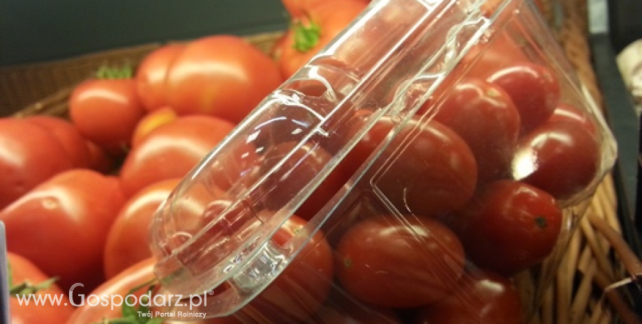 Wyższa podaż wpływa na spadek cen pomidorów