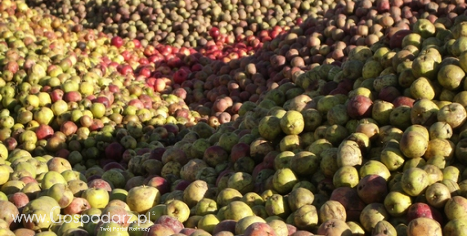 Szansa na otwarcie dostępu do rynku wietnamskiego dla polskich jabłek
