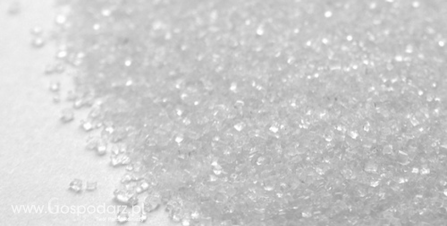 Polscy producenci cukru zostali z 600 tys. ton nadwyżki