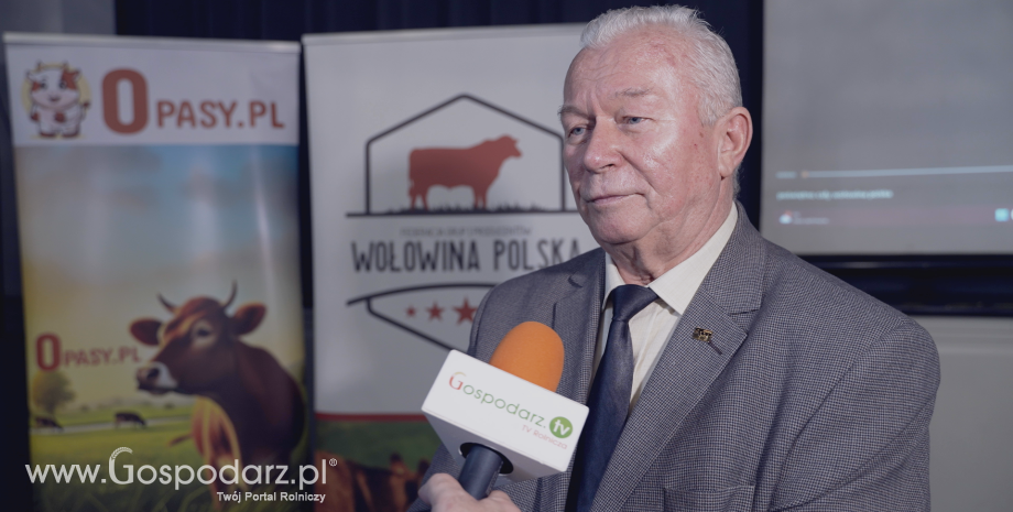 Rasy mleczne kluczowym filarem rynku wołowiny. Dlaczego ich rola rośnie?