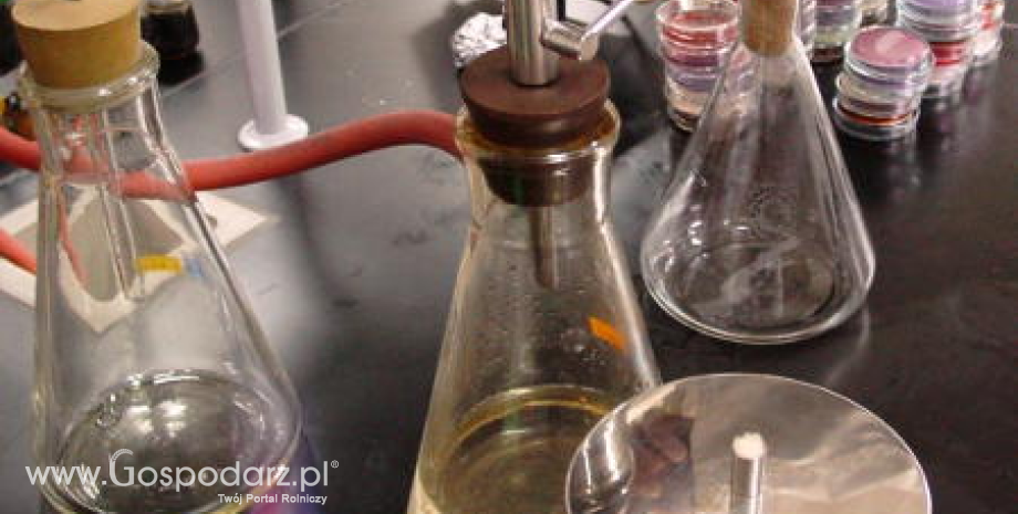 Polacy pracują nad biohybrydową elektrodą grafenową