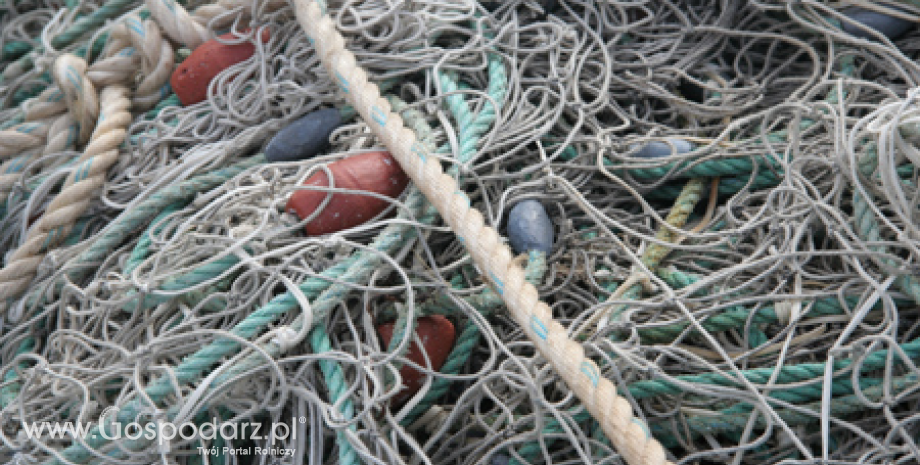 Rusza nabór wniosków o rekompensaty dla rybaków za tymczasowe zaprzestanie połowów