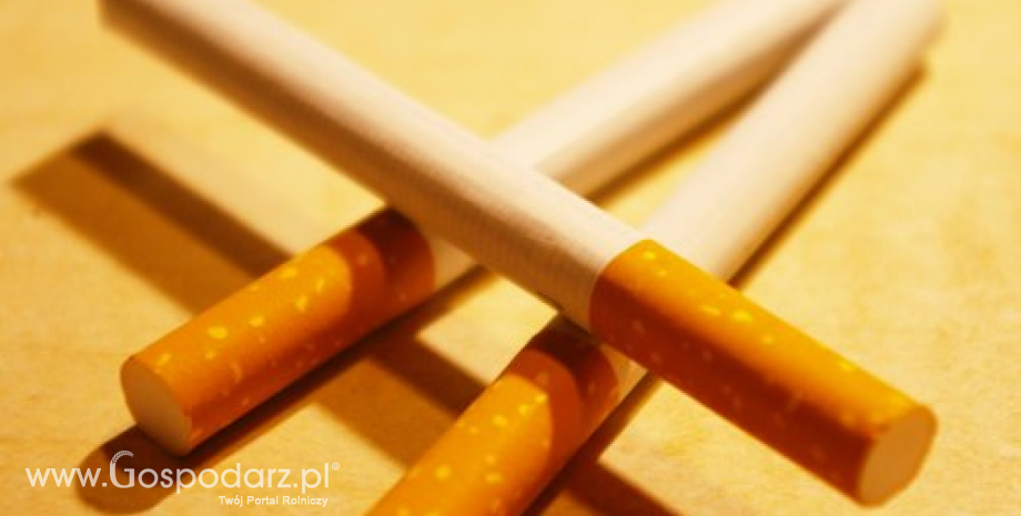 Wzrost akcyzy na papierosy spowoduje wzrost ich cen o ok. 1 zł