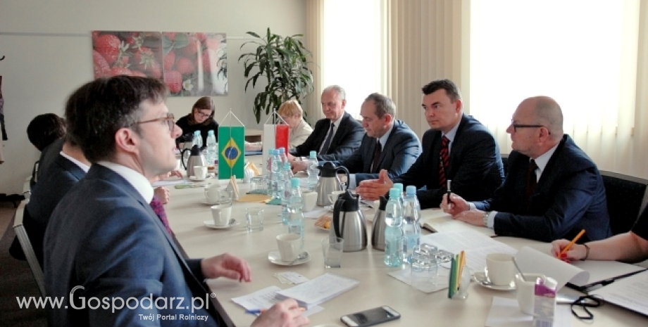 Pomyślne rozmowy w sprawie polsko-brazylijskiej współpracy w rolnictwie