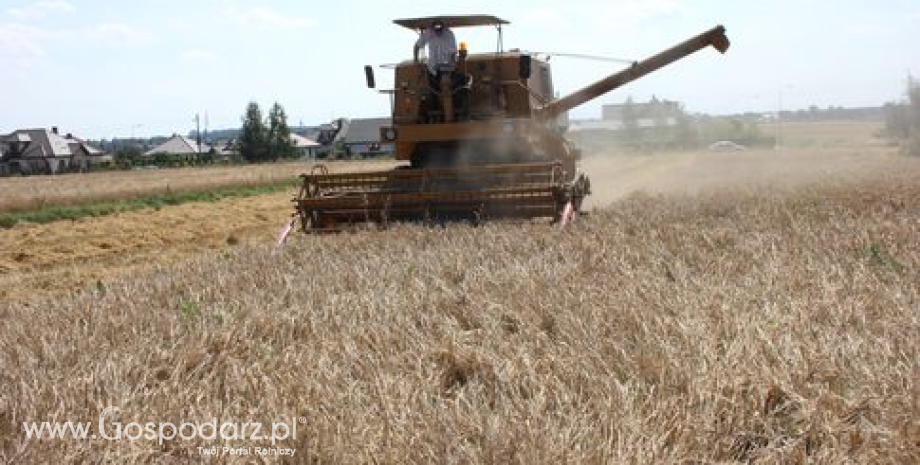 Zbożowe kontrakty futures poruszją się w trendzie bocznym (17.10.2013)