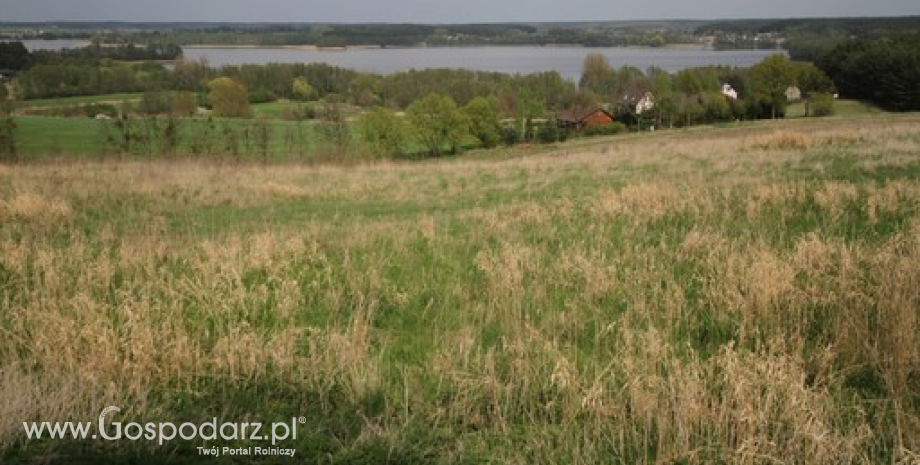 Planowa wypłata dopłat ONW oraz wsparcia z