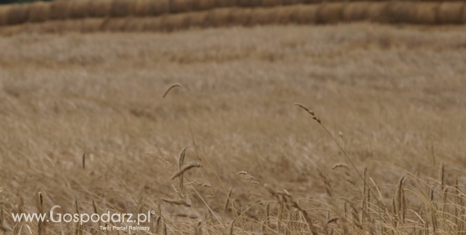 Przebieg warunków agrometeorologicznych od jesieni 2014 r. do lata 2015 r.