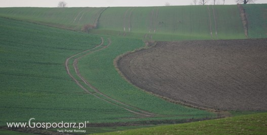 Porozumienie w sprawie zasad dzierżawy gruntów rolnych