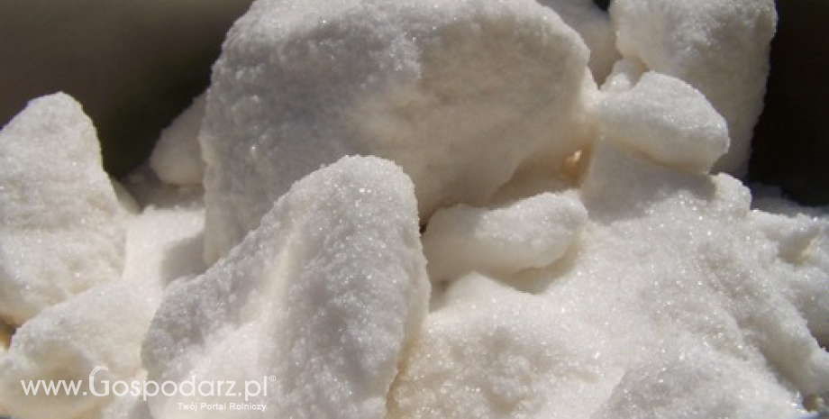 Polski eksport cukru znów w dół. Import mocno w górę