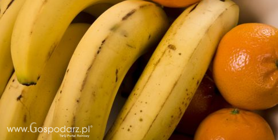 Światowy eksport owoców i warzyw