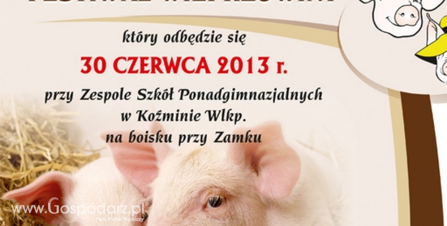 Ogólnopolski Festiwal Wieprzowiny w Koźminie Wlkp.