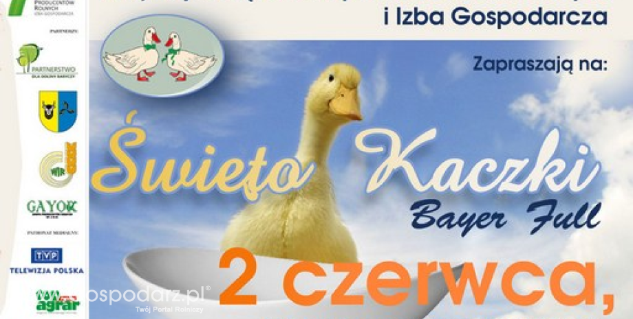 Święto Kaczki w Przygodzicach