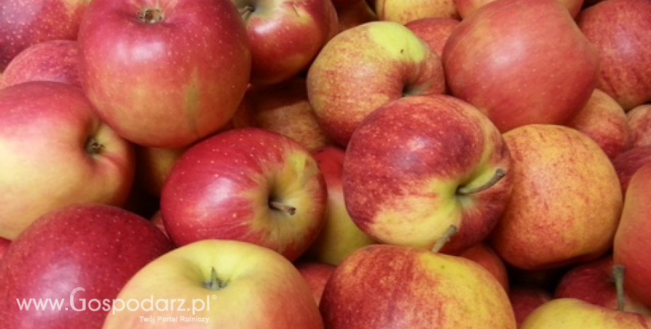 Średnie ceny jabłek w marcu wyniosły 1,05 zł/kg
