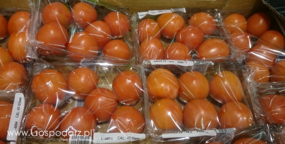 Unijny import owoców i warzyw z Turcji
