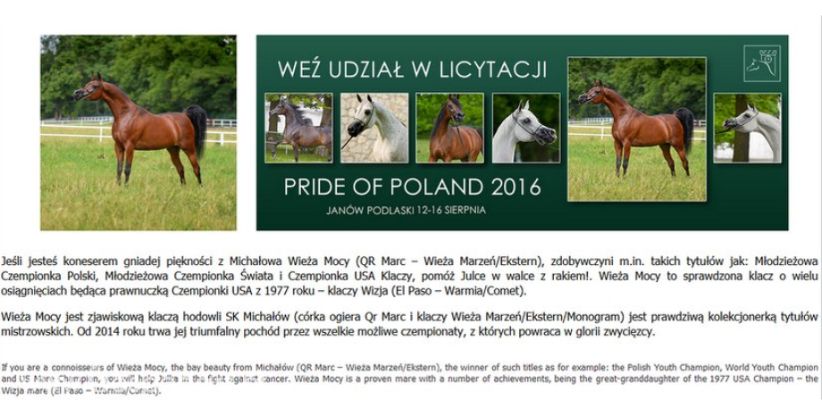Dobroczynna akcja na Pride of Poland. I Ty możesz pomóc Julce!