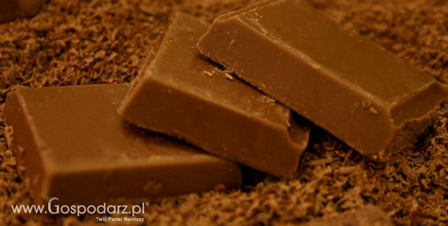 Rosja zwiększyła import kakao