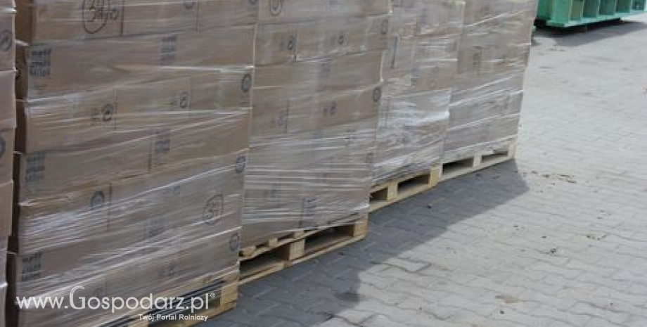 Drewniany materiał opakowaniowy z Polski nie spełnia rosyjskich wymagań fitosanitarnych