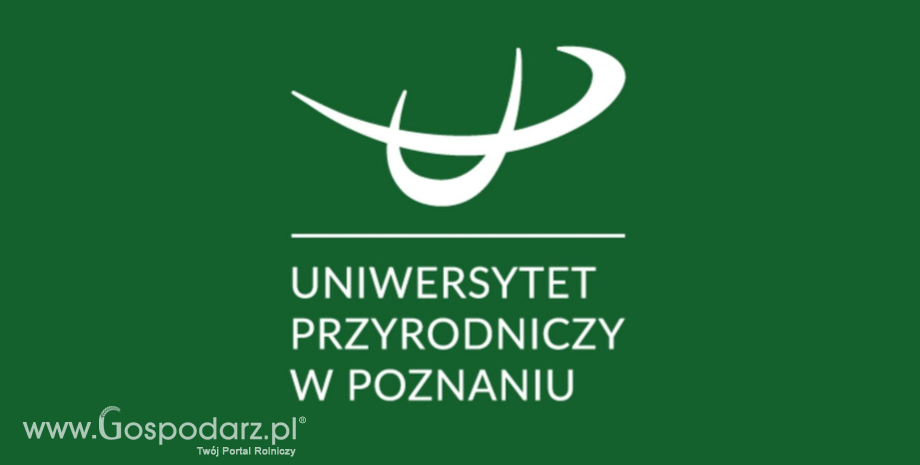 Chińska pszenica pod lupą satelitów - przełom w mapowaniu płodozmianów. Co z tego wynika dla Polski?