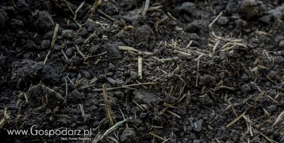 Uwalnianie fosforanów w glebie