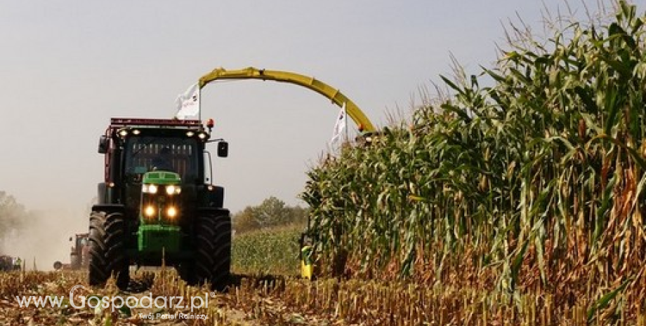 UE: Zbiory zbóż w sezonie 2016/2017 prognozowane na 313 mln ton