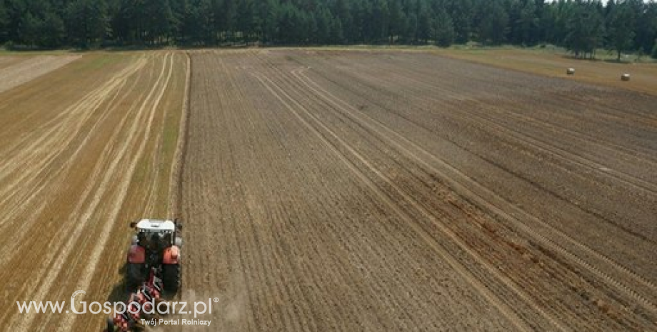 MRiRW o sprzedaży ziemi rolnej. Co zakłada projekt ustawy?