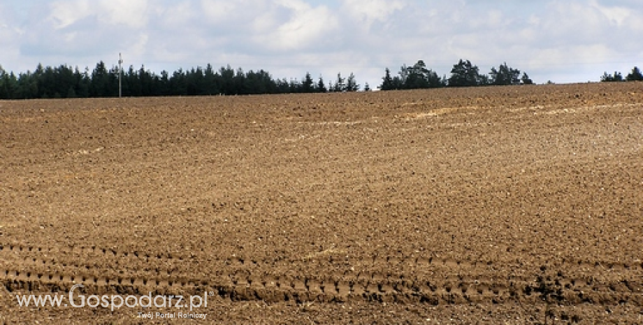 Trwa przyjmowanie wniosków o przyznanie płatności bezpośrednich za 2014 r.