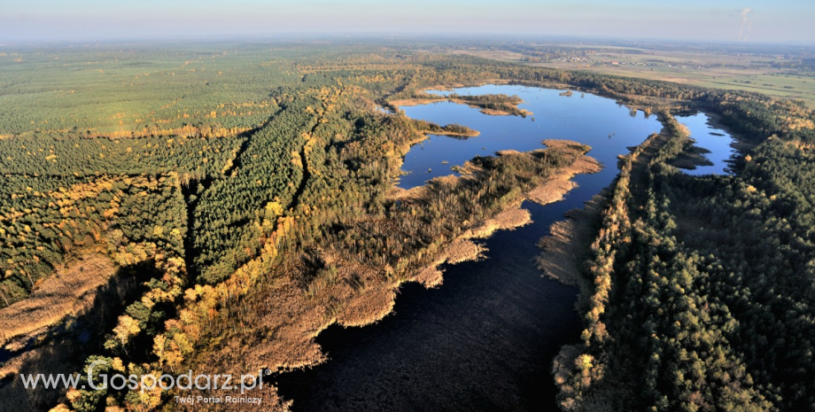 Resort środowiska na rzecz drewnianego budownictwa mieszkaniowego