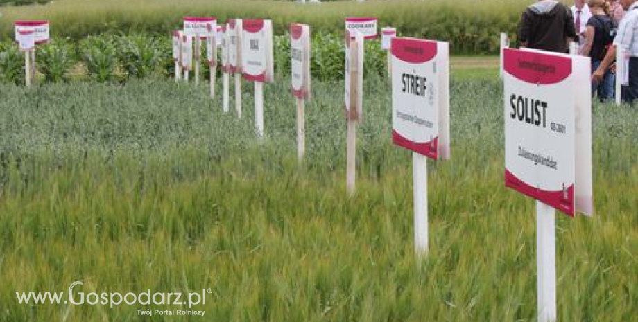 Podsumowanie tygodnia na światowym rynku zbóż – 10.09.2012